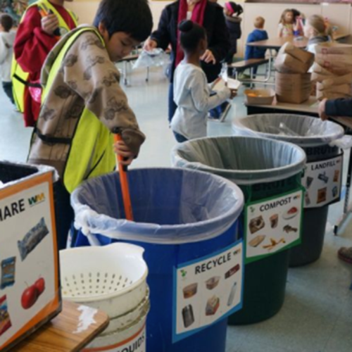 Students clean up trash and place them in recycle, compost, and landfill bins.